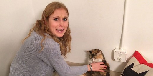 We went to a cat café and it was way more than just petting cats and drinking coffee