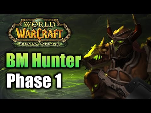 WoW TBC Classic: BM Hunter PVE Guide (Phase 1)