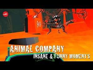 Insane and Funny Moments in Animal Company VR