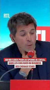 200,000 euros per mating: the secret business of star horses