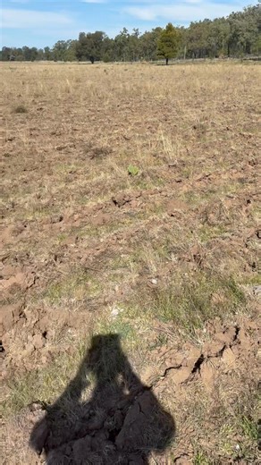 18K views · 61 reactions | Pasture renovation and establishment yeomans plow offsets and drum seeder | LSM Earthmoving and Property Development | Facebook