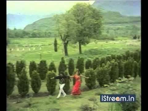 Pasivadi Pranam: 'Kashmiri loyalo...' song!