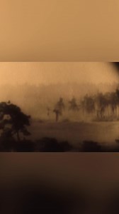 51K views · 1.1K reactions | In August 1942, 2,800 Japanese marines attacked an Australian base in Milne Bay, New Guinea. Expecting an easy win, they met 9,000 Allied infantrymen and two RAAF squadrons. This Australian-led victory proved the Japanese were not invincible. #MilneBay #WWII #AustralianHistory #AlliedVictory #PacificWar From: ANZAC’s – In The Face Of War | War Stories | Facebook