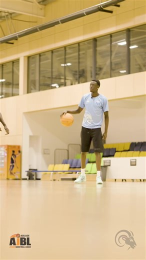 Exploring Adelaide's Basketball Scene and Attractions