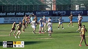 VFL Showreel, R10: Tom Mitchell highlights