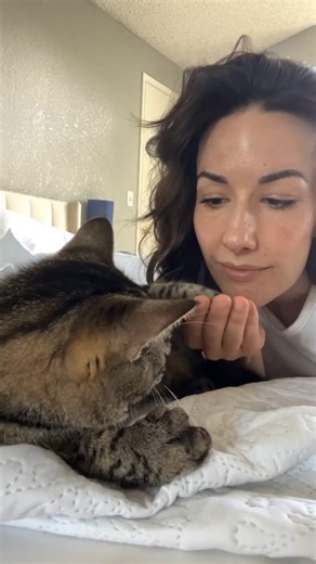 Love these big paws (she’s polydactyl) 🥰 | Cierra Ryan