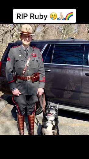 Our prayers and condolences to RISP Cpl Dan O’Neill and the RISP on the sudden loss of K9 Ruby. Ruby was the recent star of the Netflix movie Rescued by Ruby #risp #ruby #rescuedbyruby #fyp #foryou #foryoupage