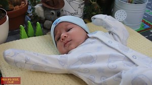 What early reflexes tell us about human baby development