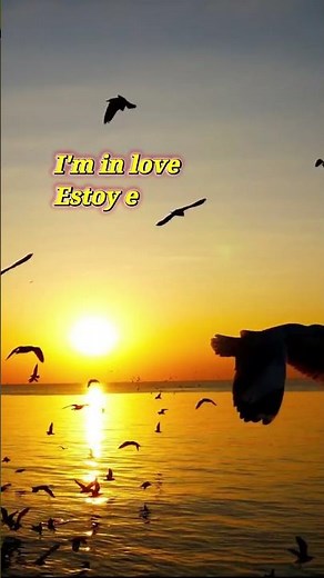 your my everything santa esmeralda #cancioneseningles #lyrics #musiclyrics #santaesmeralda