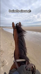 Une débutante monte un cheval de course à la plage. Juste incroyable 🤩😍- débat ⬇️ #cheval