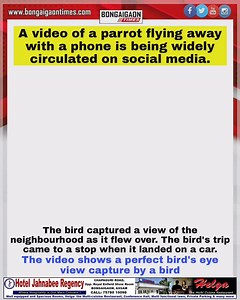 #Viral_Video A video of a parrot flying away with a phone went viral on social media. In the clip, a man can be seen running behind a parrot as it claws the phone and flies away. #ViralVideo #parrot #phone #SocialMedia #bird #Birdview | Bongaigaon Times