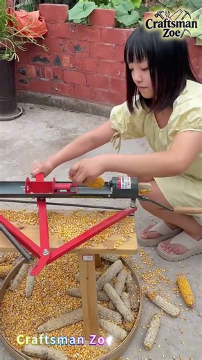 Demonstration of using a push type hand cranked corn thresher for corn threshing