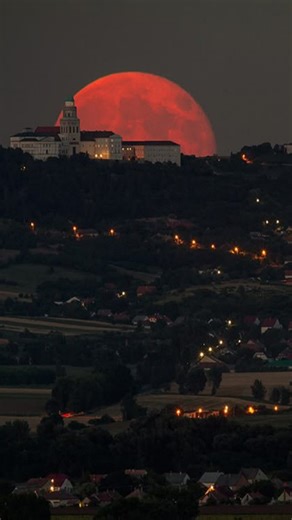 Laura Laughs on Instagram: "I planned a group trip because everyone said I am the organized one and we would save money if one person handled logistics. I spent nights comparing flights, coordinating arrival times, checking cancellation rules, building a shared itinerary, and finding places that matched everyone’s budget. In the group chat nobody answered until decisions had deadlines, then suddenly everyone had opinions and corrections after the work was already done. I stayed patient and kept 