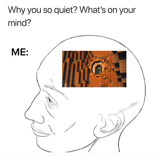 Third Life Minecraft Series: Survival and Adventure