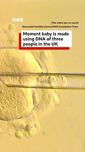 Eight babies have been born in the UK using genetic material from three people to prevent devastating and often fatal conditions, doctors say. The method, pioneered by UK scientists, combines the egg and sperm from a mum and dad with a second egg from a donor woman. This is the first proof it is leading to children born free of incurable mitochondrial disease. These conditions are normally passed from mother to child, starving the body of energy and can cause severe disability and some babies di