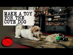 Nejroztomilejší úkol všech dob - Taskmaster - Videacesky.cz