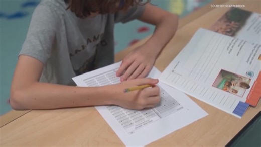 State touts 'historic gains', yet 60% of Tennessee third graders fall short on TCAP reading scores