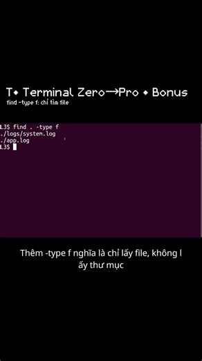 T• find -type f: chỉ tìm file, không lấy thư mục | Bonus (Terminal Zero→Pro) #ubuntu #terminal#linux