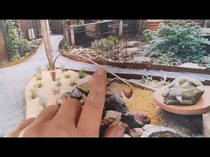 Gestalten einer Regen-Sicker Mulde im Garten.