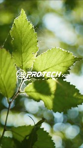 Protech Sports: Revolutionizing Fitness with OEKO-TEX® Certified Apparel. Our latest range is not just about performance, it's about responsibility. Each piece boasts OEKO-TEX® certified materials, ensuring your sports gear is free from harmful substances and kinder to the planet. From thread to tread, we’re committed to eco-friendly processes, transparent supply chains, and safe workspaces. Feel good, perform better, and trust in textiles that care. #MadeInGreen #ProtechSports #SustainableSport