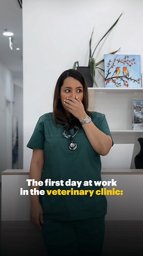 14K views | The Avenue to Expert Veterinary Care. | Pet Avenue Clinic | Facebook
