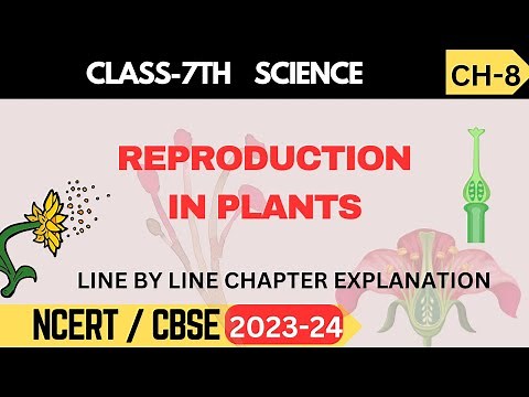 Class 7 Science | Chapter 8: Reproduction in Plants | NCERT Explanation