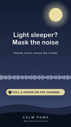 Light-Sleeping Dog? Mask the Noise 🐶🌙 Deep Sleep Music For Dogs #Shorts