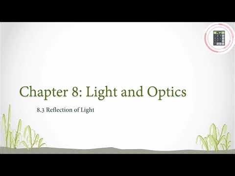 Science | Form 1 | Chapter 8 - 8.3 Reflection of Light
