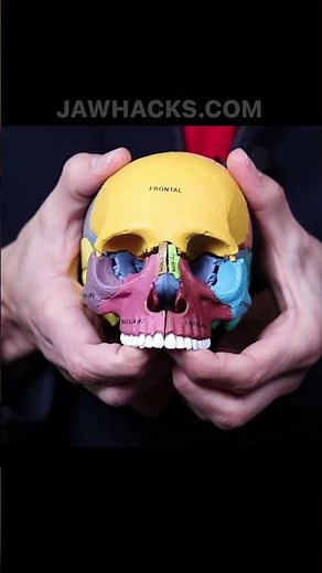 How MSE Enhances The Cheekbones (JawHacks 2019)