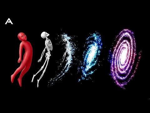 You are the Universe Experiencing Itself | Spinoza's God