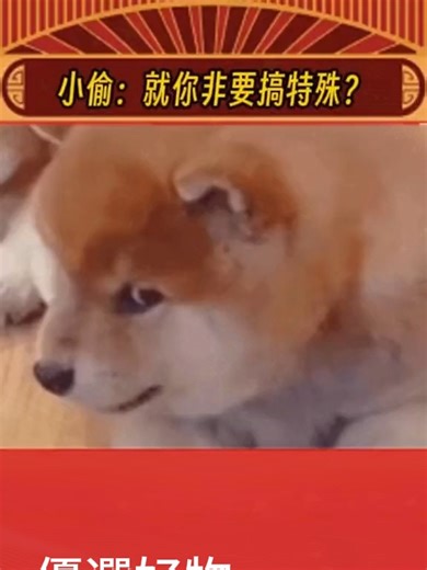 小偷：就你非要搞特殊是吧！#緋凡優選 #台灣奇亞挖礦阿凱 #搞笑 #有趣 #聲霸 #風扇 #機械鍵盤 #飛利浦 #搞笑配音 #搞笑视频