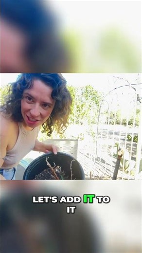 Composting Dead Plants: A Sustainable Spring Clean! #shorts