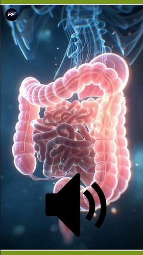 Why Does Your Stomach Make Noise? #funfact