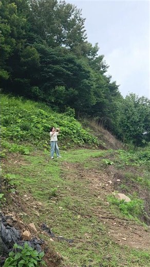 2026.7.10 임실읍 이인리 여름 풍경