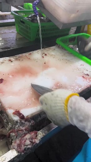 Fish Processing Tutorial: How to Properly Fillet Fish