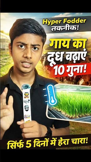 Hyper Fodder System: Green Fodder in 5 Days | Increase Cow Milk 10X? 🐄🌱 #factsboyrandhir