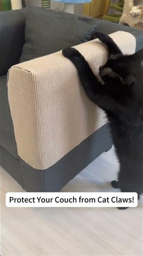How To Protect Sofa From Cat Scratches Without Looking Ugly!