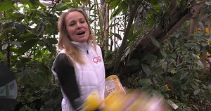 11K views · 71 reactions | Jon and Natalie are teaming up with Klosterman Bread for its #SaveOurBees effort in partnership with the Cincinnati Zoo & Botanical Garden! A portion of your purchase of any Klosterman Rich ‘n Good Honey Bread, Buns or Rolls products will benefit the Cincinnati Zoo's Pollen Nation program at Bowyer Farm! | Q102 (WKRQ) | Facebook