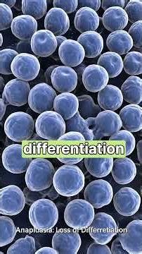 Anaplasia #usmle #usmlestep1