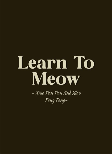 Learn to Meow: Fun Song Lyrics for Singing Along