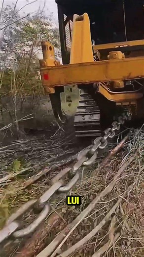 The Giant Chain That Can Clear an Entire Forest in Minutes
