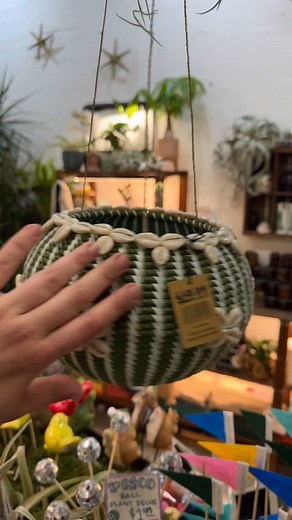 Our new pottery just dropped and it’s serving serious pot-ential. From classy ceramics to cheeky little planters with attitude, we’ve got pots for every plant and personality. Plus, don’t sleep on the fun retail plant accessories — from spritzers to stickers, we’ve got everything you need! 🌿😉 Come let your foliage flirt with something new. #plantshop #plantshopping #plantaccessories #plantsarefun #happyplace #plantshelfie #planters #potsandplants | Lawrence & Clarke Cacti Co.