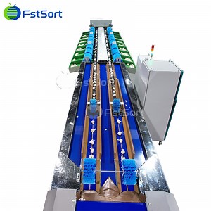 [Hot Item] Avocado Classification and Packaging Avocado Packing Line Avocado Processing Equipment Avacado Waxing and Sorting Machine