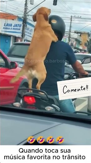 Quando o sinal fecha e o Caramelo rebola 😂🐶🕺 #caramelo #pets #fyp #foryou