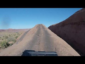 Lions Back Moab