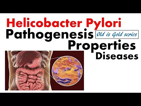 Helicobacter pylori microbiology | Pathogenesis, disease, treatment, diagnosis | peptic ulcer