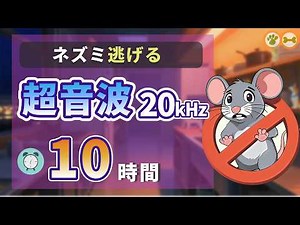 Ultrasonic Mouse Repellent Sound 20kHz Mod｜10 Hours Rat Deterrent to Keep Mice Away｜Safe for Dogs
