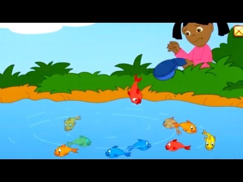 Let’s Go on Show Shell-we!