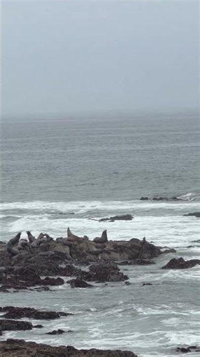 Shelter cove, California