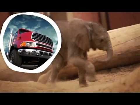 Toledo Zoo- Lucas the Elephant Commercial